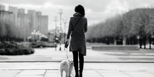 Woman walking a dog